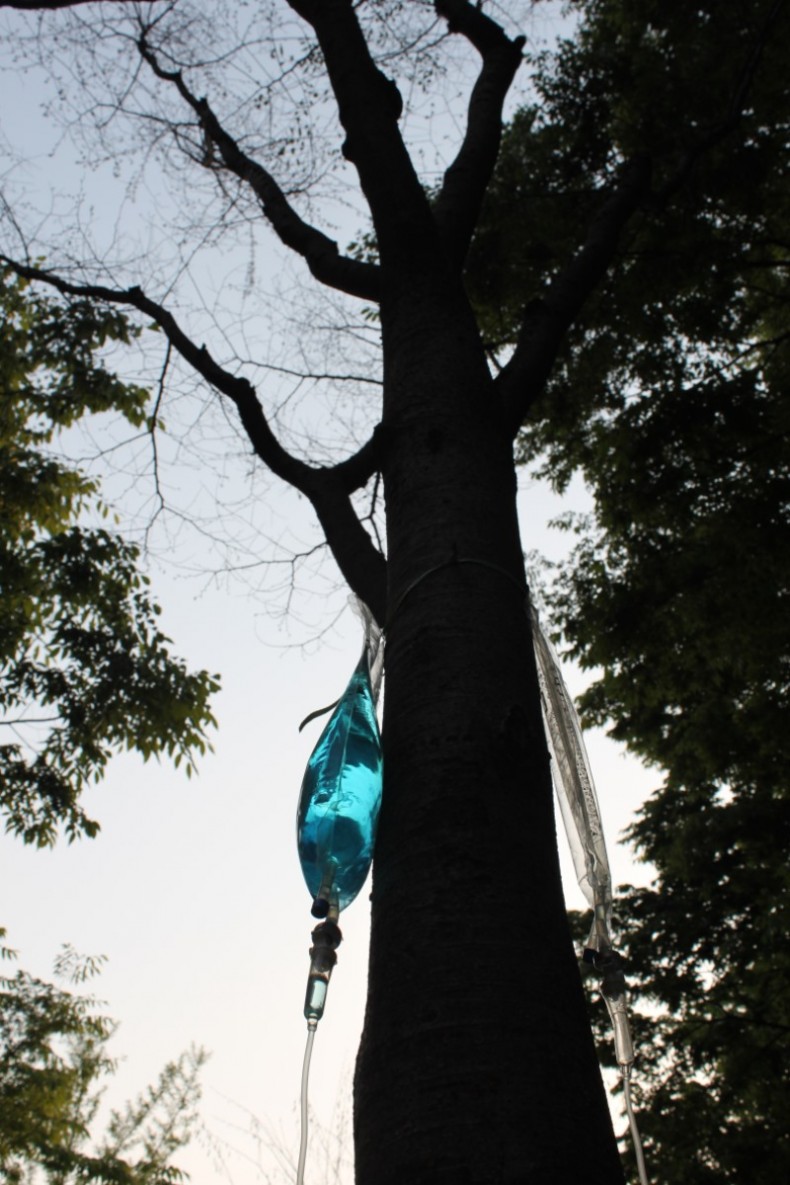 [동상]박소연 - 기대어 사는 나무.JPG
