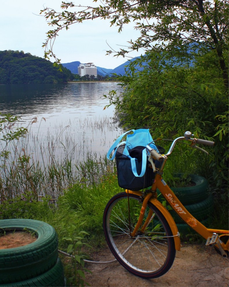 [은상]김예림 - 자전거의 녹색꿈.jpg