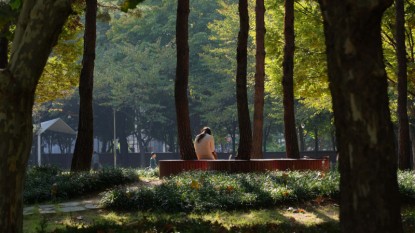 자연환경_20250905_0038.jpg