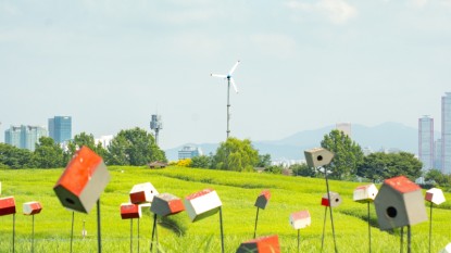 자연환경_20250705_0037.jpg