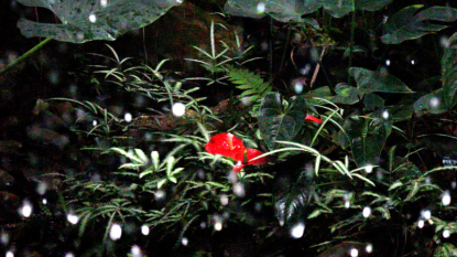 특별상_자연환경_20250905_0057.png