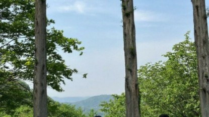 장려상_청소년_25-청-51_최시우.jpg
