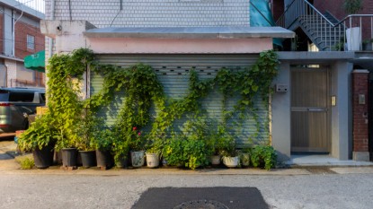 장려상_자연환경_25-자-039_김지우C.jpg